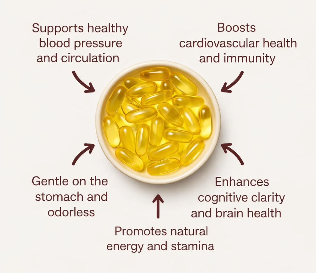 Aged Garlic Extract (Odorless)