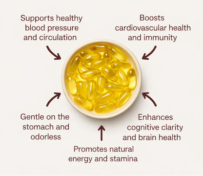 Aged Garlic Extract (Odorless)